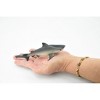Collectible Wildlife Gifts | Shark, Bull Shark, Hand Painted, Rubber Fish, Realistic Toy Figure, Model,   Educational, Gift,       6"    CH201 BB117 - 3 of 4