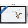 Trends International The Comedy Wildlife Photography Awards: Angela Bohlke - Diving Fox Framed Wall Poster Prints - 3 of 4