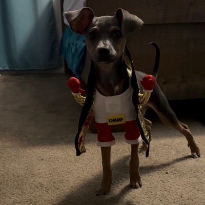 Guest review image 1 of 1, zoom in