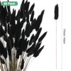 Unique Bargains Artificial Dried Flowers Realistic Look Pampas Bunny Tails Grass 17 Inch - 3 of 4