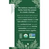 Traditional Medicinals Organic Dandelion Herbal Tea - 16ct - 3 of 4