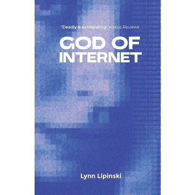 God of the Internet - by  Lynn Lipinski (Paperback)