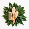 3-Piece Brush Set - 4 of 4