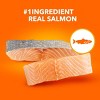 IAMS Proactive Health with Salmon Adult Premium Dry Cat Food - 3 of 4