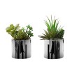 SEVOBAL Planters Set of 2 Artificial Succulent Plants 7" Tall in Glossy Black Pots for Modern Table Decor, Green, 5.5"*4.5"*7" - 4 of 4