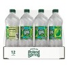 Poland Spring Zesty Lime Sparkling Water - 12pk/1L Bottles - 2 of 4