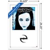Trends International Evanescence - Fallen Album Series Framed Wall Poster Prints - 3 of 4
