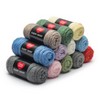 Red Heart Super Saver Super Yarn Kit-Pastels - 2 of 4