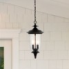Dowell 9" Outdoor Pendant - PLT4033 - Black - Safavieh - 4 of 4