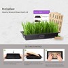 HAMAMA Broccoli Seed Quilts, Pack of 9, Organic & Non-GMO Microgreen Seeds - Includes 9 Broccoli Seed Quilts - 3 of 4
