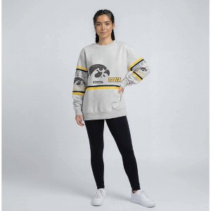 NCAA Iowa Hawkeyes Champion Ash Crew Neck Sweatshirt - XXL : Target
