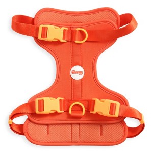 THE LICKER STORE Arlo Adjustable Soft Padded No Pull Pet Harness with 3 Buckles and 3 Leash Clips - 1 of 4