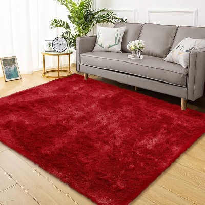 Fluffy Area Rug- Shag Area Rug for Living Room, Shaggy Large Indoor Thick Living Room Carpet with Non-Slip Backing, Soft Plush Carpet
