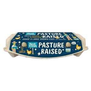NestFresh Pasture Raised Large Eggs - 24oz/12ct - 1 of 1