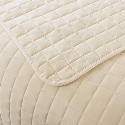 Twin Cream Down Alternative Velvet Trim Blanket