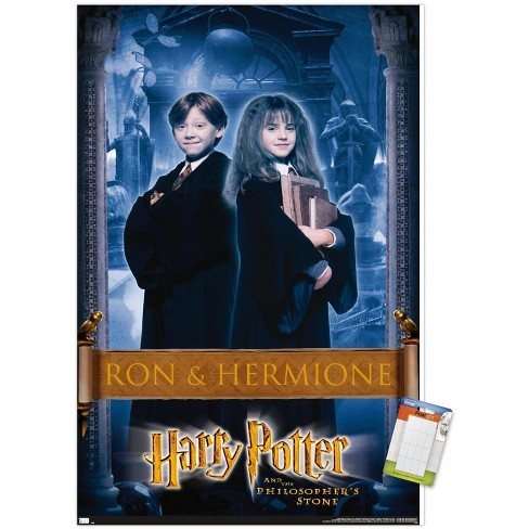 Trends International Harry Potter Castle Wall Poster 22.375 x 34