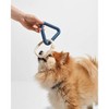 Wild One Triangle Tug Engaging Dog Toy : Target