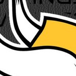 minnesota vikings