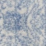 ivory/light blue