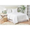 C&F Home Eyelashes Bedding Set - 3 of 4