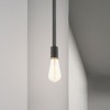Livex Lighting Prague 1 - Light Pendant in  Black - 2 of 4