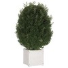 Garden Planters 2 pcs White 40x40x40 cm Solid Pinewood - 4 of 4