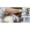 3pk Striped Rubber Garden Gloves - Ultimate Innovations - 2 of 3