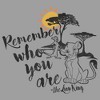 Boy's Lion King Simba Never Forget Who You Are Pull Over Hoodie - 2 of 4