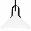 Quoizel Lighting Brink 1 - Light Pendant in  Matte Black - 3 of 4