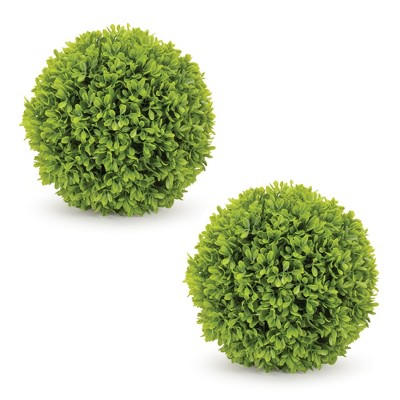 Melrose Boxwood Foliage Orb (Set of 2)
