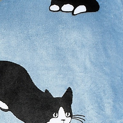 wondercat blue