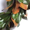 Plum & Post Grand Magnolia Leaf Wreath 24" - 3 of 4