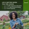 Swanson Prebiotic + Probiotic Fiber Supplement, Helps Support Digestive System & Immune Health, 500 mg FOS, 60 Veggie Capsules. - 2 of 4