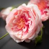 Sullivans Artificial Soft Pink Rose Spray 42.5"H - 2 of 2