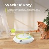 Allforpaws Interactive - Cat Toys - Whack-a-Mole Cat Teaser Toy - 2 of 4