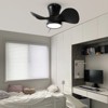 22 in. LED Indoor Black Small Ceiling Fan with Remote and Reversible DC Motor, 3 Blades, 3 Color Light Kit - 4 of 4