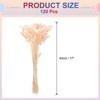 Unique Bargains Decorative Natural Dried Floral Bunny Tail Artificial Plants 120 Pcs - 2 of 4