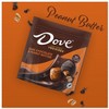Dove Promises Candy Peanut Butter & Dark Chocolate 6.74 oz - 2 of 4