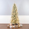 7.5' Prelit Flocked Slim Hinged Bottle Brush Artificial Christmas Tree Clear Lights - National Tree Company - 2 of 4