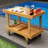 Cambridge Casual Mozaic Teak Outdoor Bar Serving Cart Teak Brown - 2 of 4