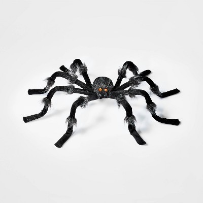 black halloween spider