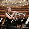 Trumpet Instrument, Band & Orchestra Musical Instruments for Beginners or Advanced Students - 3 of 4