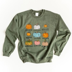 Simply Sage Market Pumpkin Chart Sweatshirt - 1 of 4