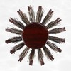 Unique Bargains Nylon Bristle Round Curling Hair Ruled Comb Brown 1 Pc - 3 of 4