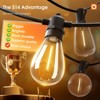 Itopfox 50FT LED Outdoor String Lights with Shatterproof Edison Bulbs, Weatherproof Strand for Patio, Garden, Commercial Grade Decorative Lighting - 2 of 4
