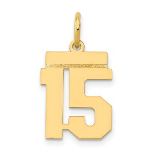 Black Bow Jewelry 14k Yellow Gold, Athletic Collection, Small Polished Number 15 Pendant - 1 of 4
