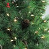 Northlight 7.5' Pre-Lit Full Denali Mixed Pine Artificial Christmas Tree - Dual LED Lights - 2 of 4