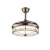 YIYIBYUS 42in Gold Modern LED Ceiling Fan With 4 Retractable Blades, 6 Wind Speeds - 4 of 4