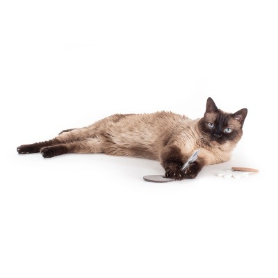 Hauspanther Atomic Flyers Cat Toys by Primetime Petz Playtime Pleasures for Every Furry Friend