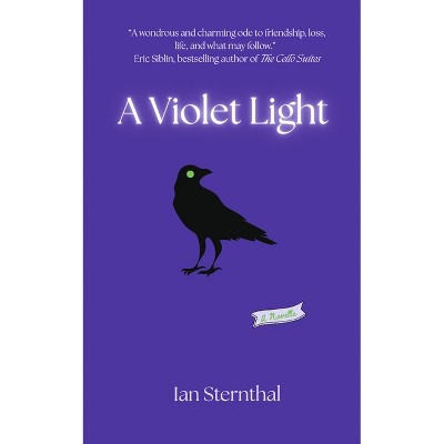 A Violet Light - by  Ian Sternthal (Paperback)